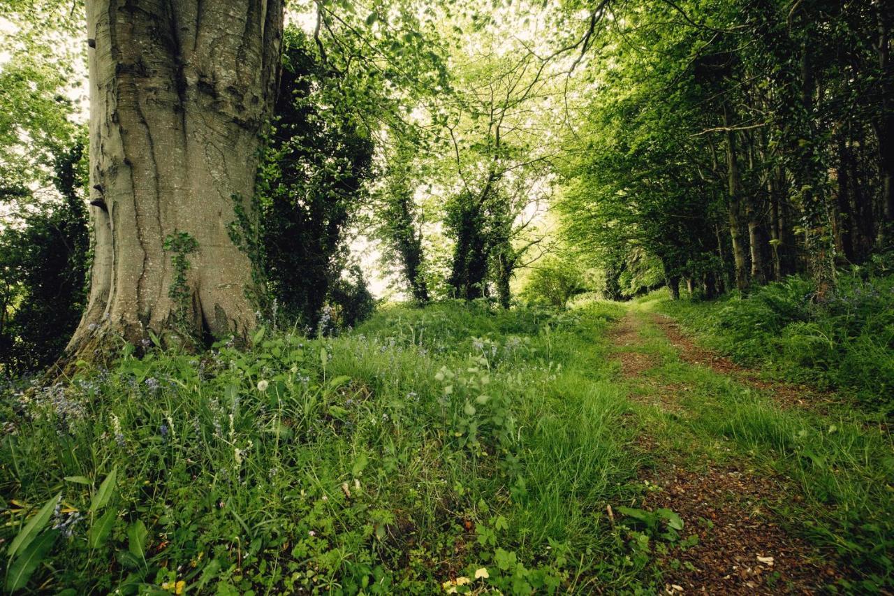 Castledillon Estate Cottage Armagh Bagian luar foto